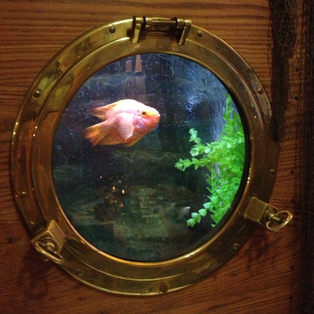 A fish through the porthole of The Lobster Pot - kenningtonrunoff.com